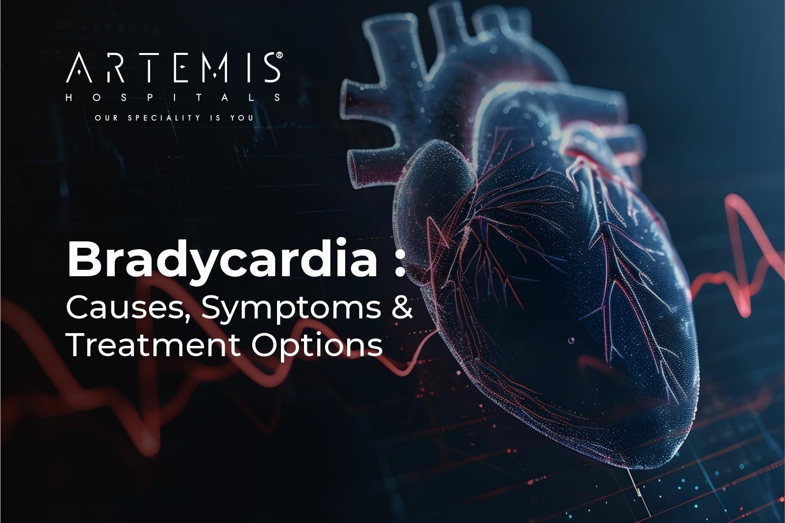 Bradycardia Causes