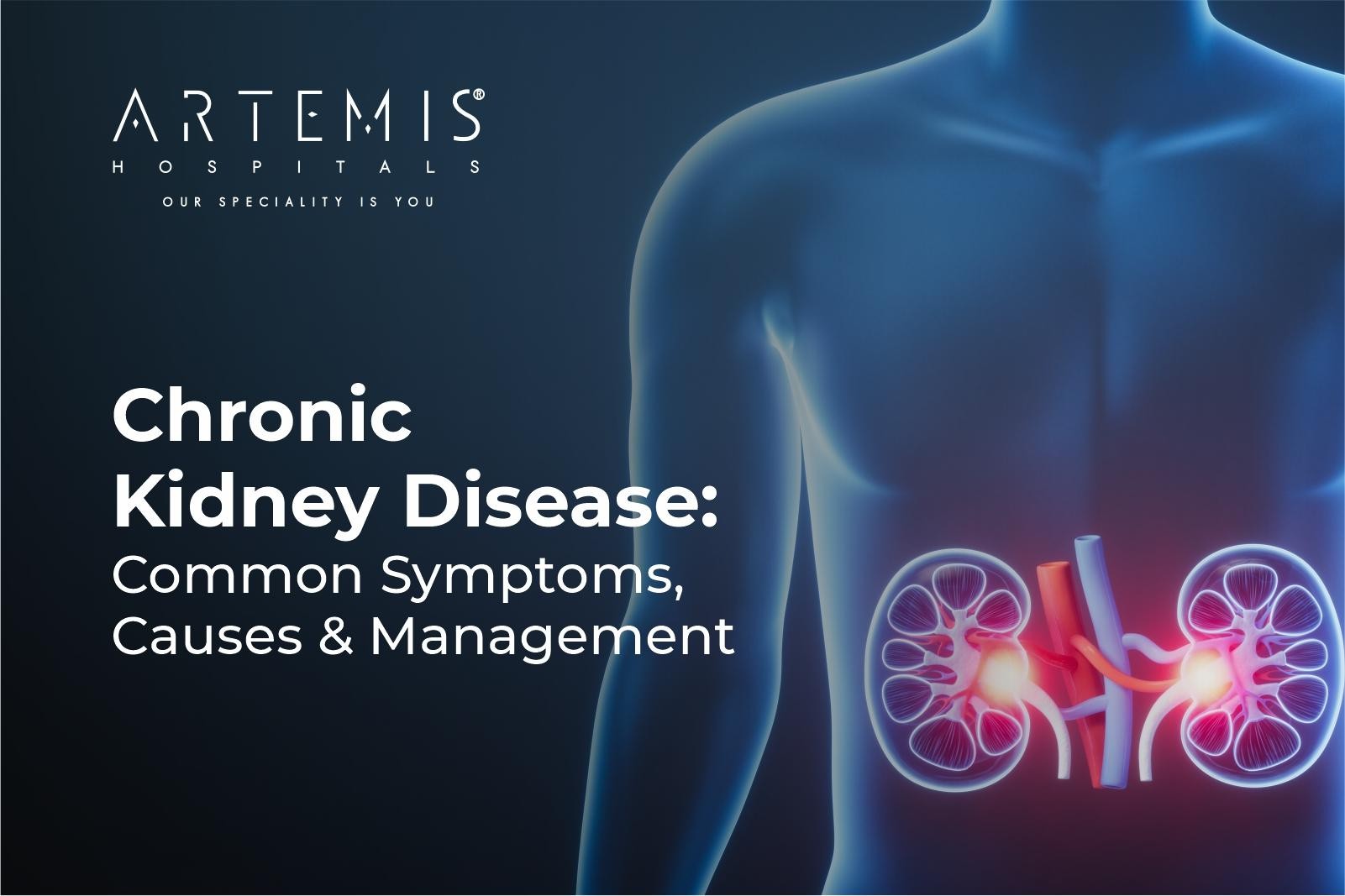 Chronic Kidney Disease 