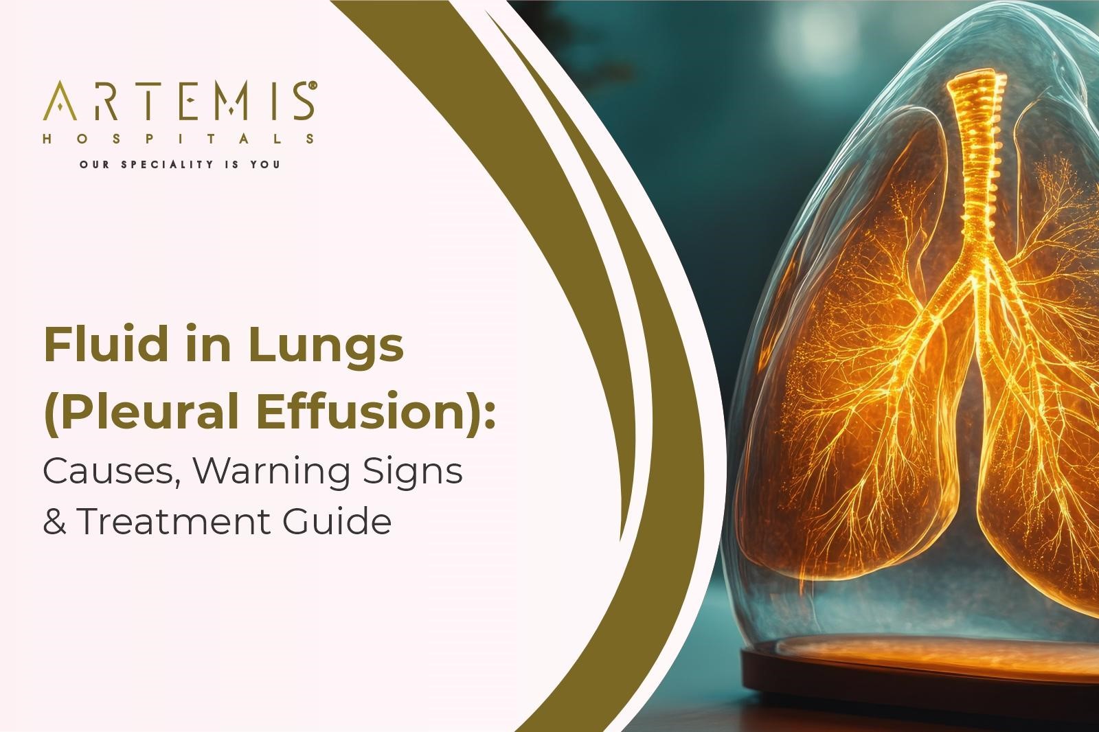 Pleural Effusion Symptoms