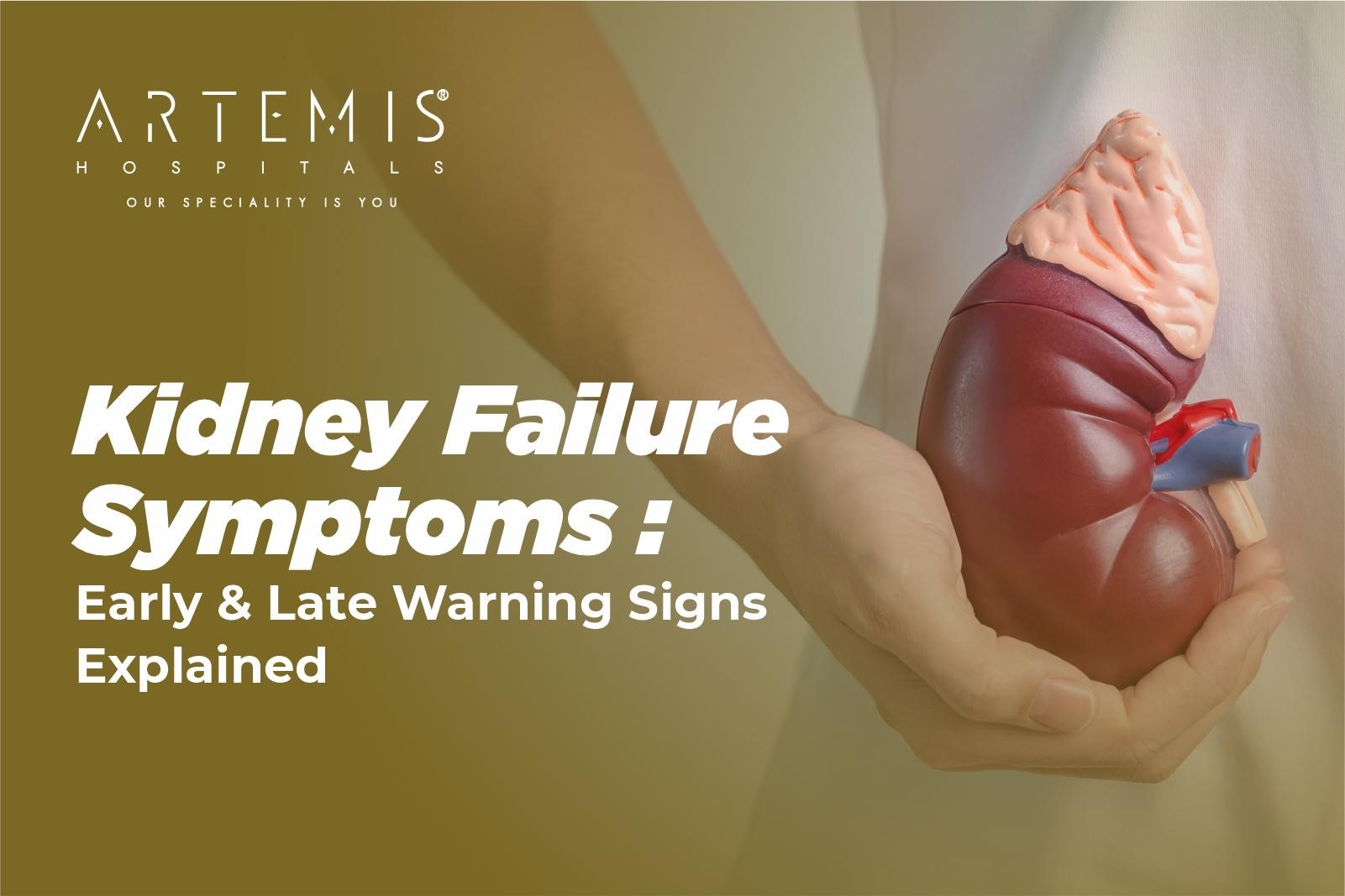 Kidney Failure Symptoms