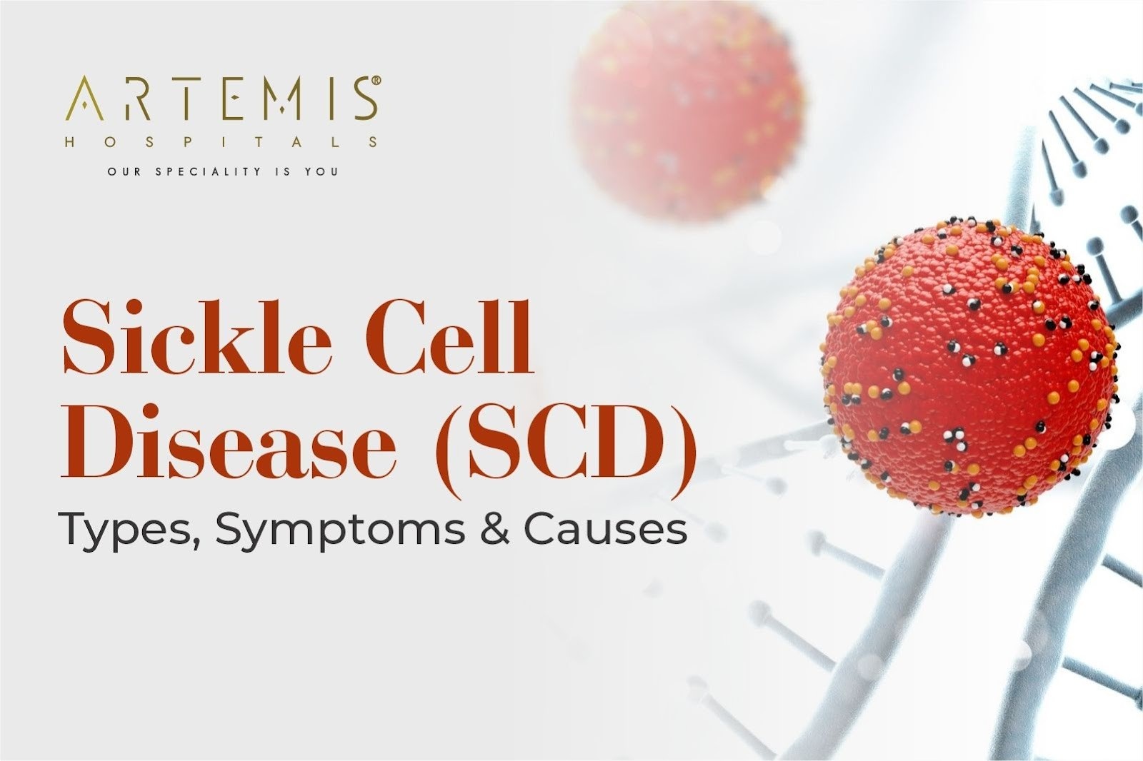 Sickle Cell Disease Symptoms